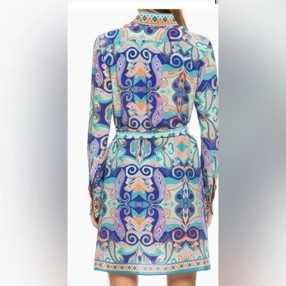 Robert Graham Charlotte Silk Paisley Shirt Dress S NWT Boho Luxe Resort Vibes - Picture 3 of 14